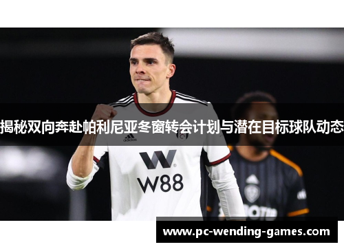 揭秘双向奔赴帕利尼亚冬窗转会计划与潜在目标球队动态