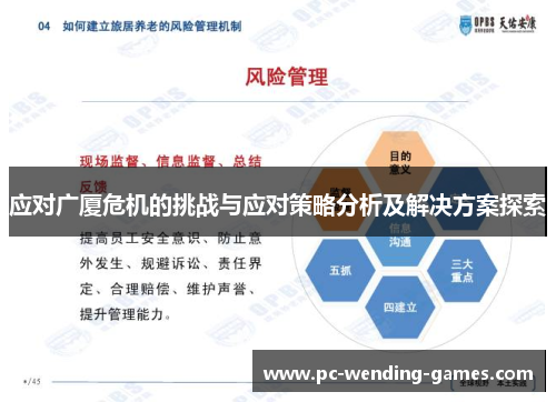 应对广厦危机的挑战与应对策略分析及解决方案探索