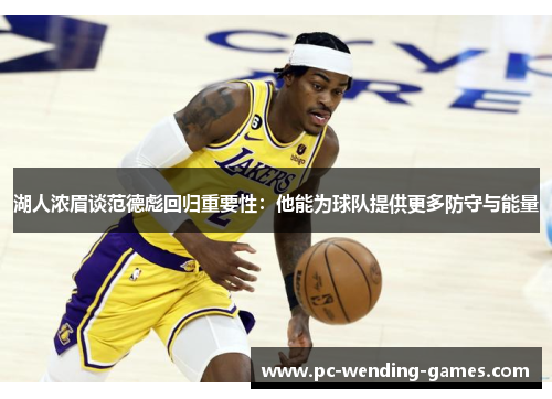 湖人浓眉谈范德彪回归重要性：他能为球队提供更多防守与能量