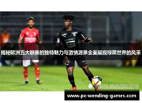 揭秘欧洲五大联赛的独特魅力与激情源泉全面展现绿茵世界的风采 揭秘欧洲五大联赛的独特魅力与激情源泉全面展现绿茵世界的风采