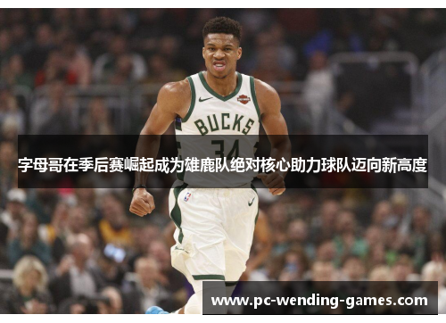 字母哥在季后赛崛起成为雄鹿队绝对核心助力球队迈向新高度