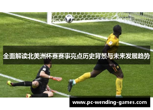 全面解读北美洲杯赛赛事亮点历史背景与未来发展趋势 全面解读北美洲杯赛赛事亮点历史背景与未来发展趋势